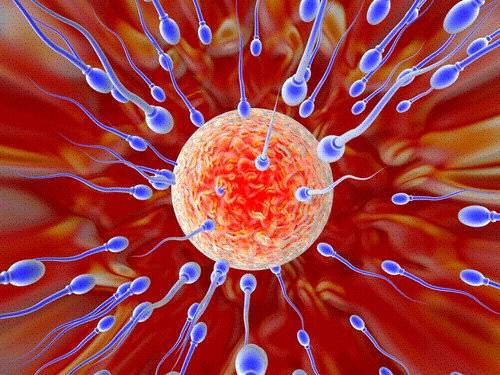 http://www.astrogle.com/images/2014/09/sperm_count_recipe_ayurvedic1.jpg