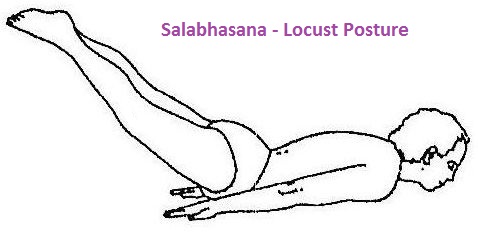 Salabhasana (locust pose)